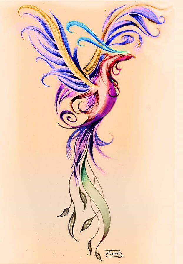 622x900 Image Result For Phoenix Image Tattoo Ideas - Phoenix Watercolor