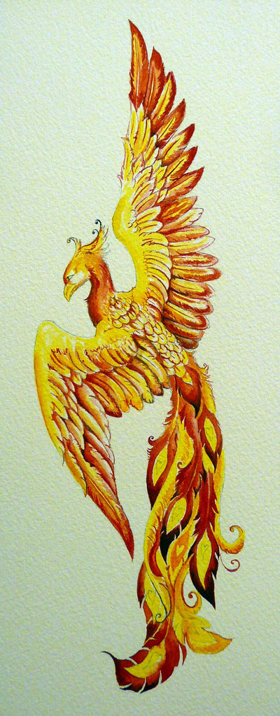 400x1022 Phoenix - Phoenix Watercolor