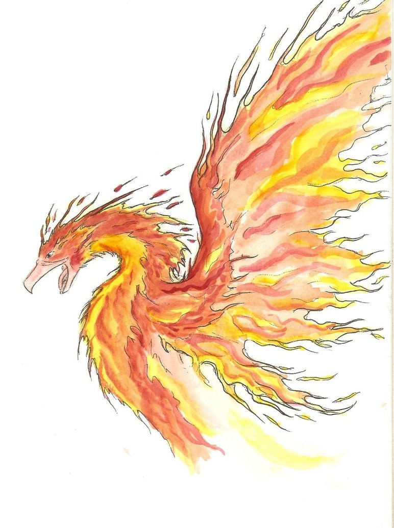 772x1035 Phoenix In Watercolor By Reizezdewickid - Phoenix Watercolor