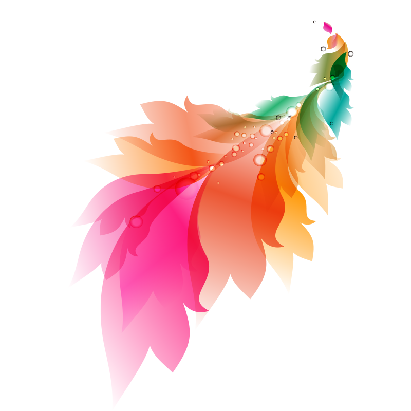 800x800 Watercolor Painting Feather - Phoenix Watercolor