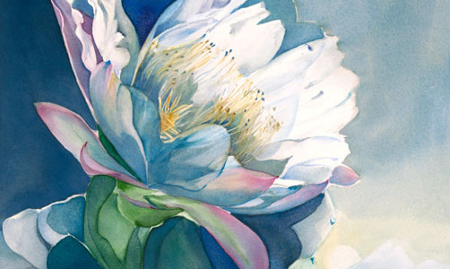 502x300 Watercolors Paintings Jeanne Bonine Watercolor Artist - Phoenix Watercolor Painting