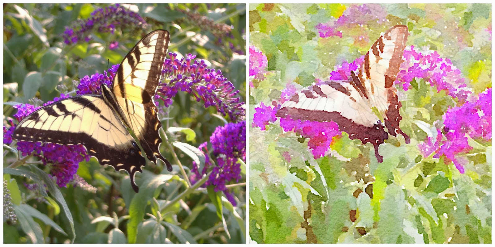 1600x800 House In The Heights App Crack Waterlogue - Photo To Watercolor App