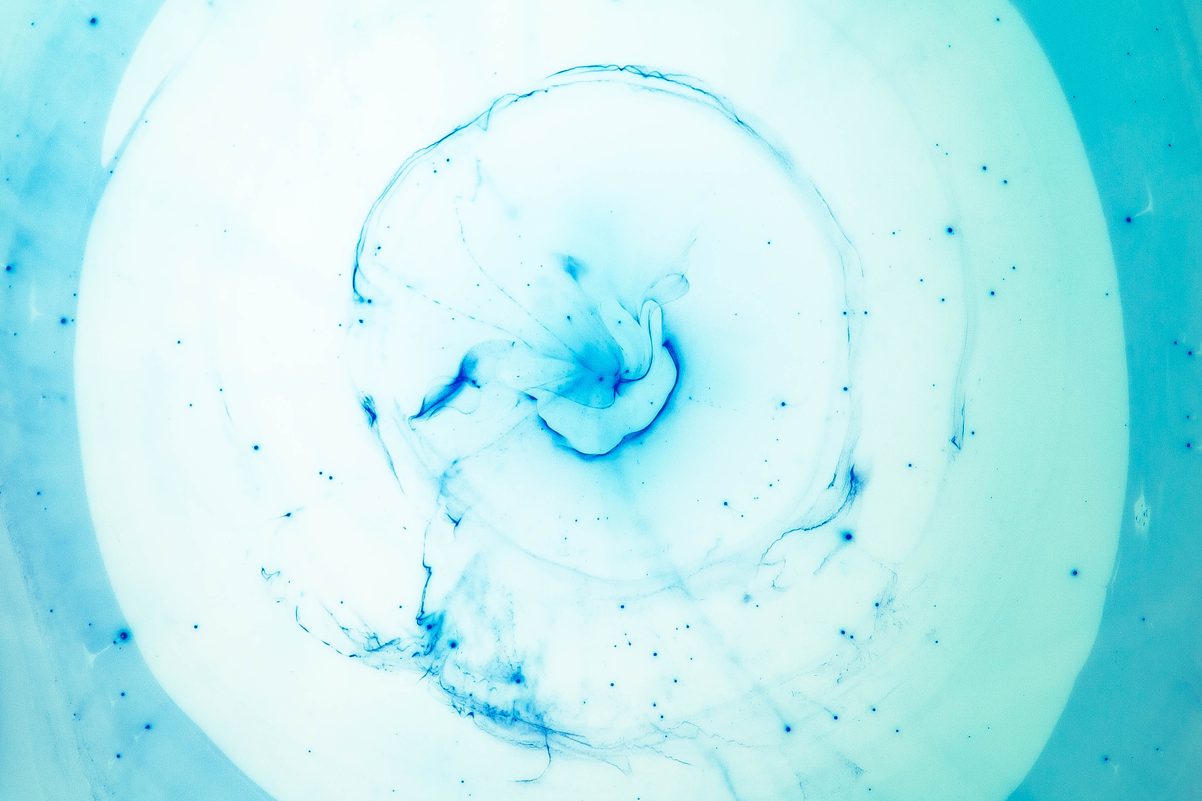 3917x2611 Free Images Water, Blue, Circle, Swirl, Watercolor, Turquoise - Photography Watercolor