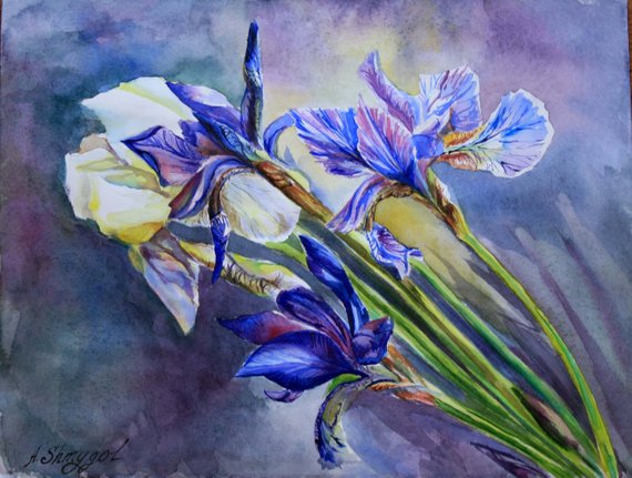 570x431 Original Watercolor Painting Colorful Floral Wall Art Purple Etsy - Photorealistic Watercolor