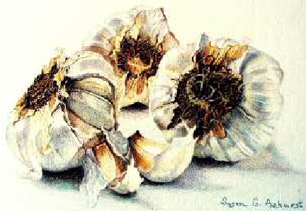 432x298 The Non Photorealistic Cool (Blue) To Warm (Tan) Transition On The - Photorealistic Watercolor