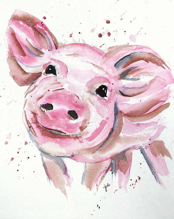 570x714 Mig Pig Watercolor Print Of Original Painting, Watercolor Pig - Pig Watercolor