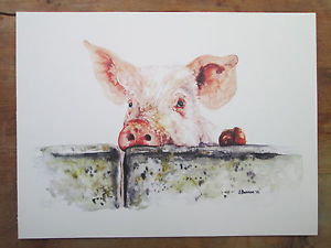 300x225 Pig, Watercolour, Print Of Original Painting 16 X 12 On - Pig Watercolor