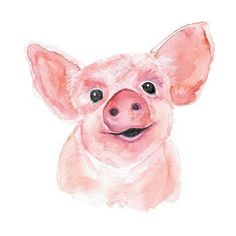 236x236 Pig Watercolor 8x10 Print - Pig Watercolor