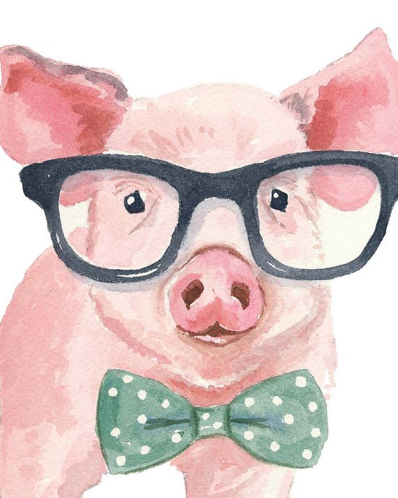 570x713 Pig Watercolor Print - Pig Watercolor