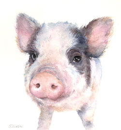 250x268 Spanky Pig Silvestri Studios - Pig Watercolor