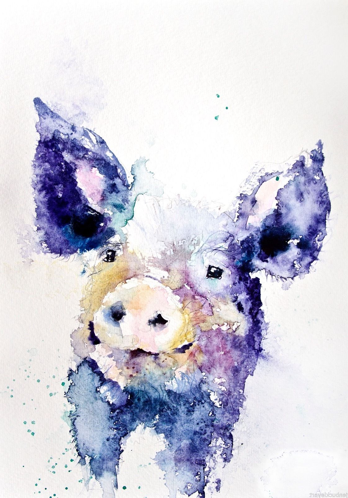 1118x1600 Watercolor Painting Of Animals Jen Buckley Contemporary Hairy Pig - Pig Watercolor