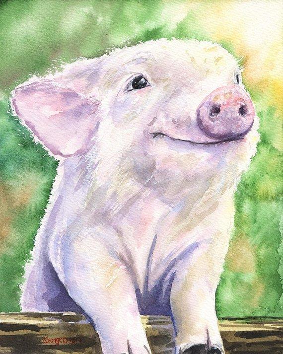 570x713 Baby Pig Watercolor Print - Pig Watercolor