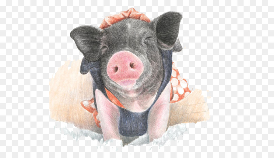 900x520 Domestic Pig Pencil Watercolor Painting Paintbrush Drawing - Pig Watercolor