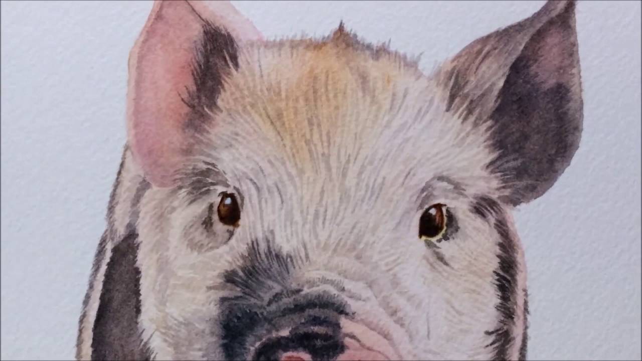 1280x720 How To Paint A Realistic Little Pig In Watercolor - Pig Watercolor