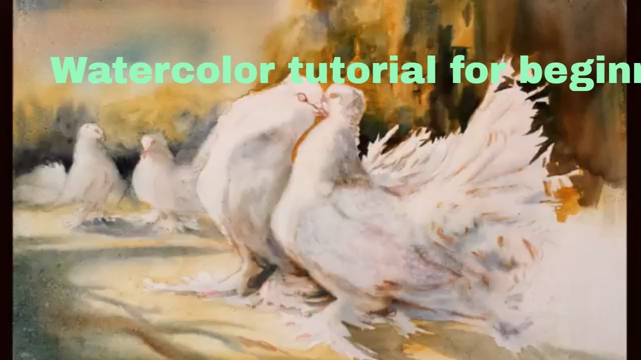 1280x720 How To Paint Watercolor Pigeon Step By Step - Pigeon Watercolor
