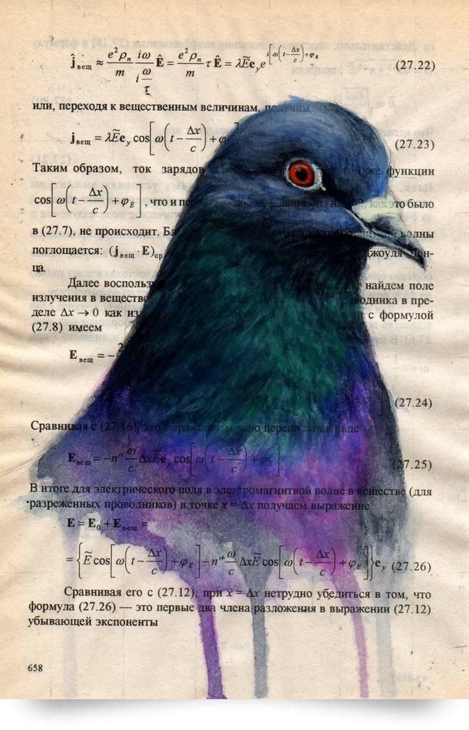 671x1044 Pigeon Paintingwatercolor Traditional - Pigeon Watercolor
