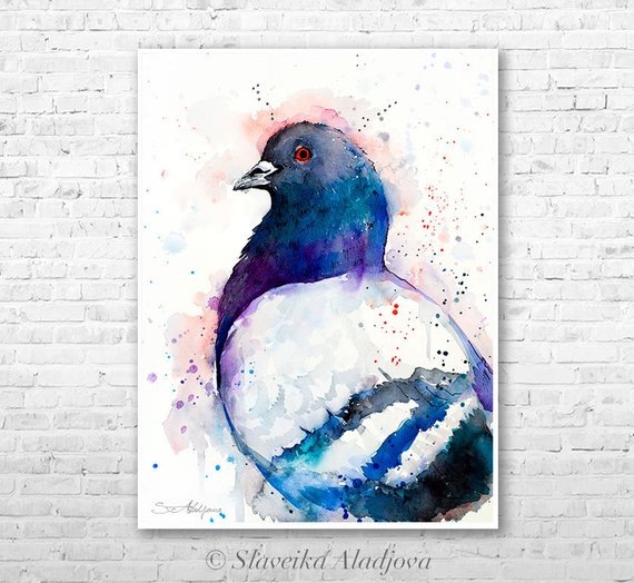 570x524 Pigeon Watercolor Painting Print By Slaveika Aladjova Animal Etsy - Pigeon Watercolor