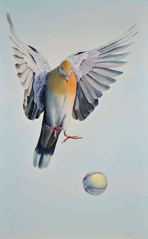 497x800 Pigeon With Baseball Animals R. Michelson Galleries - Pigeon Watercolor