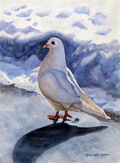 471x640 The Snow Pigeon - Pigeon Watercolor