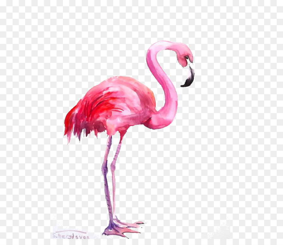 900x780 Flamingo Watercolor Painting - Pink Flamingo Watercolor