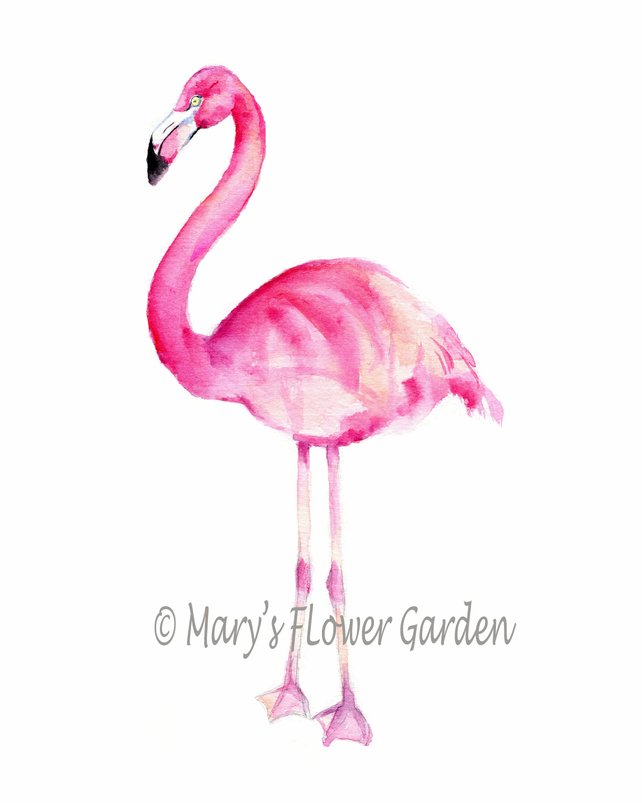 642x803 Flamingo Art Tropical Decor Flamingo Watercolor Pink Etsy - Pink Flamingo Watercolor