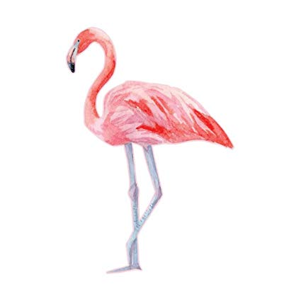 425x425 Watercolor Painted Pink Flamingo Full Color Vinyl - Pink Flamingo Watercolor