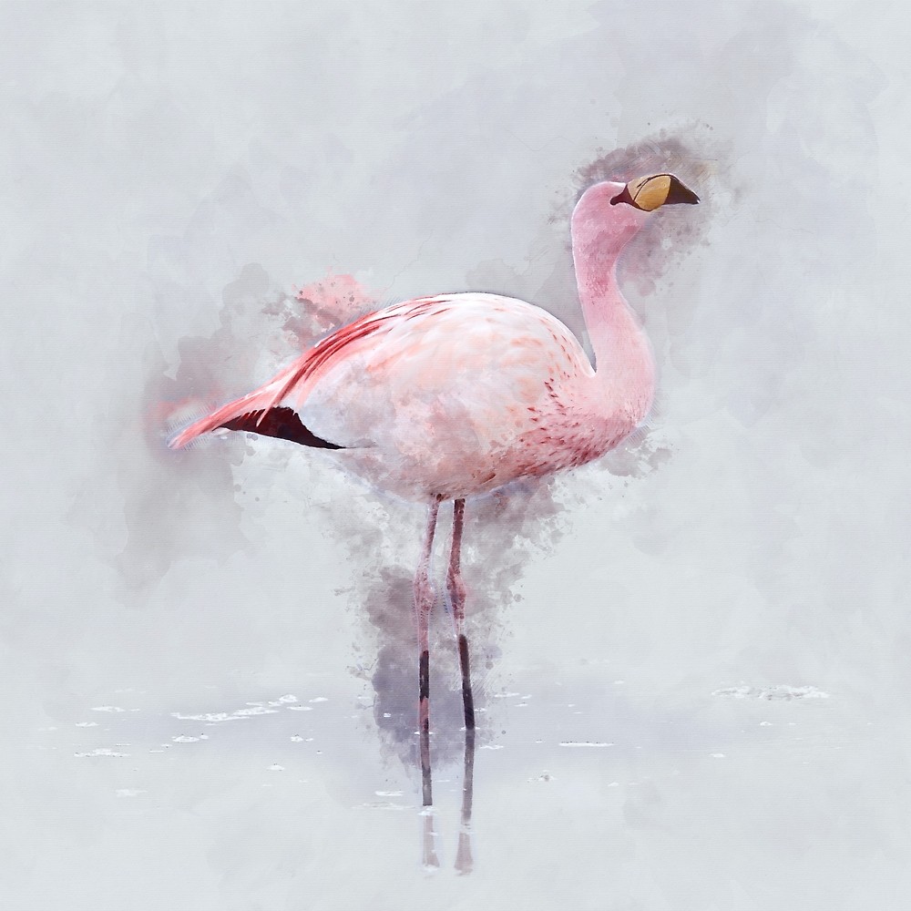 1000x1000 Pink Flamingo Watercolor By Chunkydesign Redbubble - Pink Flamingo Watercolor