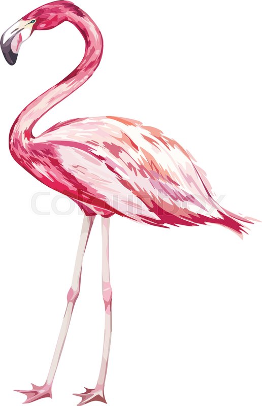 516x800 Pink Flamingo Watercolor Illustration Isolated On White Background - Pink Flamingo Watercolor