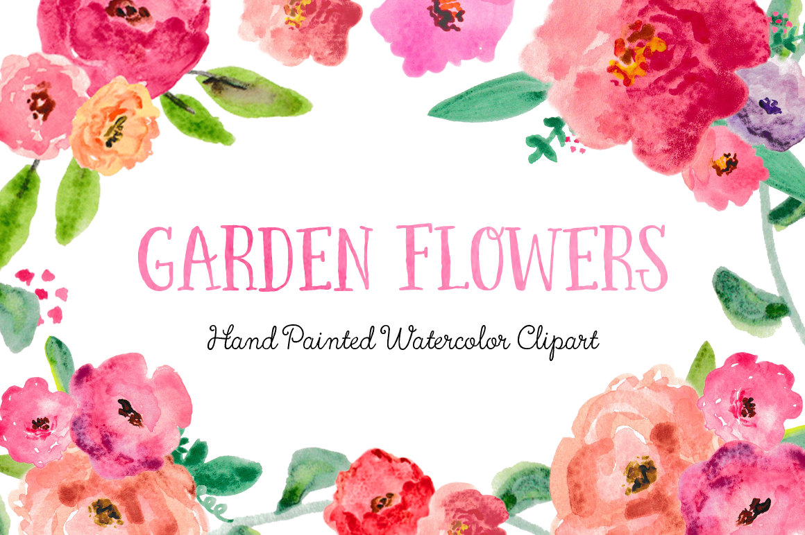 1160x772 Peony Clipart Border - Pink Flower Watercolor