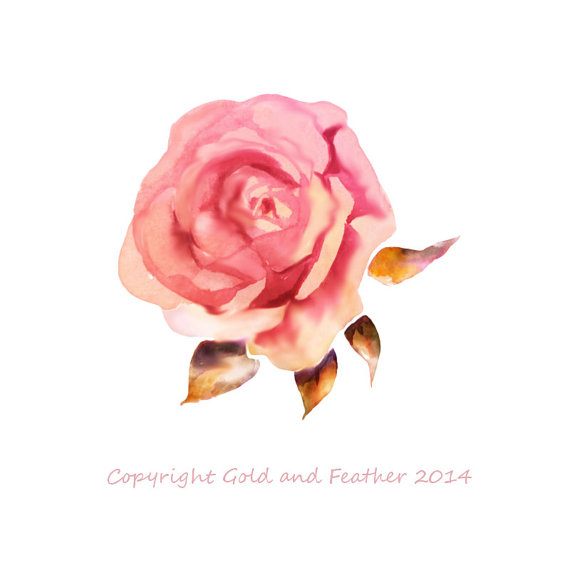 570x570 Petal Clipart Peach Flower - Pink Flower Watercolor