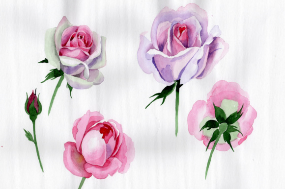 580x386 Pink Rose Watercolor Flower Png Graphic By Mystocks - Pink Flower Watercolor