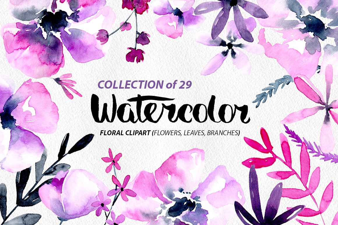 1160x772 Purple And Pink Flowers Png Transparent Purple And Pink Flowers - Pink Flower Watercolor
