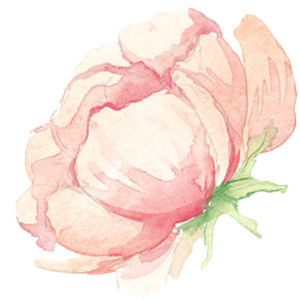 300x300 Tumblr Clipart Watercolor ~ Frames ~ Illustrations ~ Hd Images - Pink Flower Watercolor