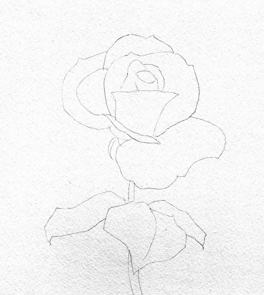 1000x1117 Watercolour Painting Demonstration - Pink Flower Watercolor