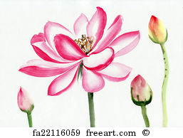 257x194 Free Art Print Of Watercolor Painting Of Lotus Flower. Original - Pink Flower Watercolor