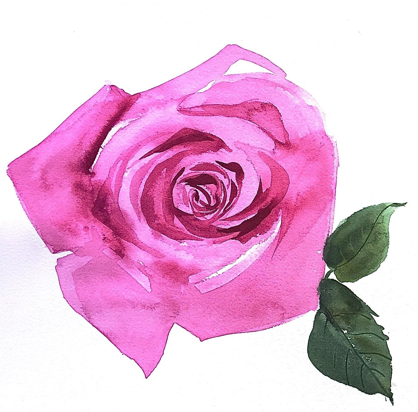 1424x1401 Original Floral Watercolor Painting Pink Rose - Pink Flower Watercolor