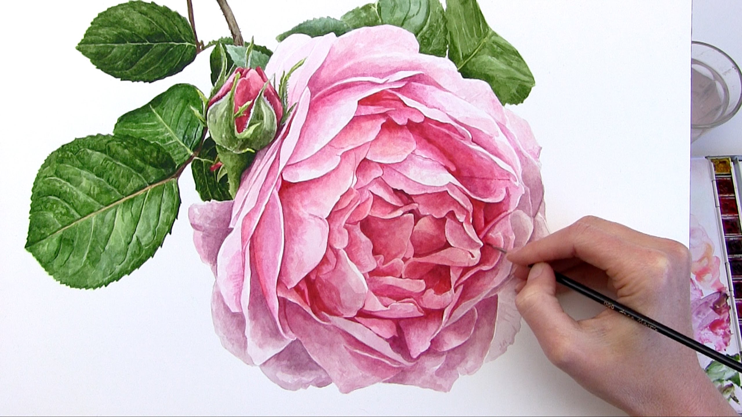 2560x1440 How To Paint A Realistic Rose Flower In Watercolour - Pink Rose Watercolor