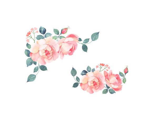 570x456 Romantic Roses, Floral Clip Art, Watercolor Illustration Bundle - Pink Rose Watercolor