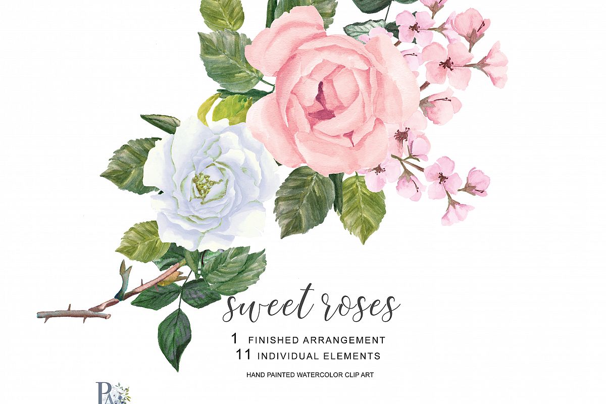 1200x800 Watercolor Blush Pink And White Roses Clipart Separate Elements - Pink Rose Watercolor