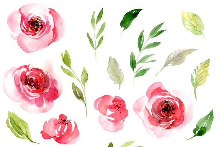 720x479 Watercolor Pink Roses Flowers Leaves By Watercolorflowers - Pink Rose Watercolor