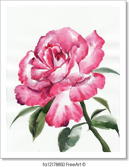 450x580 Free Art Print Of Pink Rose. Watercolor Rose Original Painting - Pink Rose Watercolor