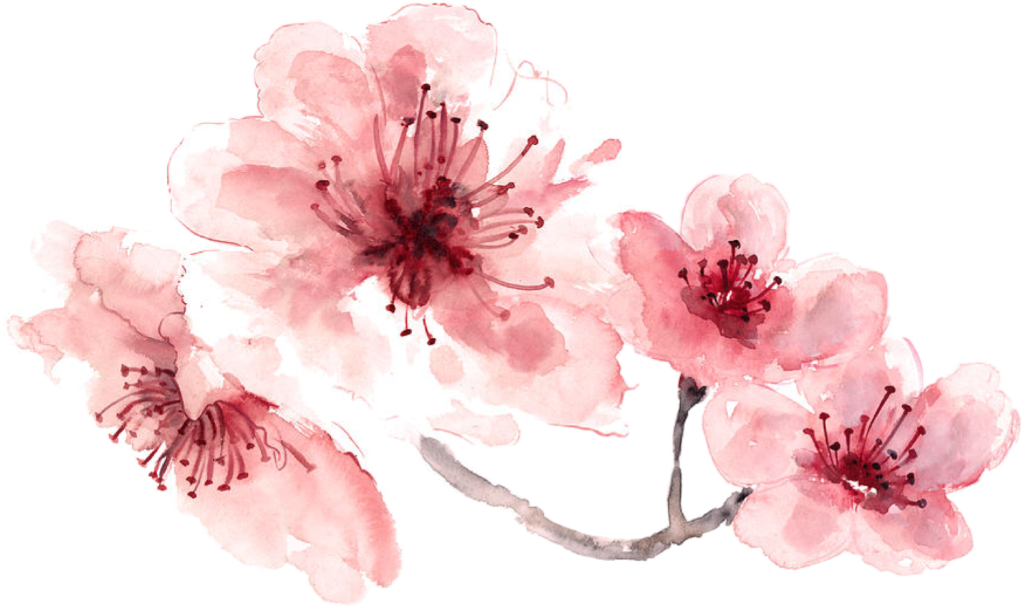 watercolor-flowers-pink-at-paintingvalley-explore-collection-of