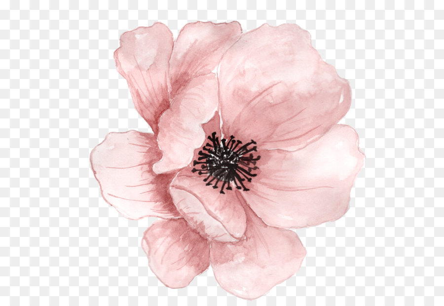 900x620 Flower Watercolor Painting Clip Art - Pink Watercolor Art