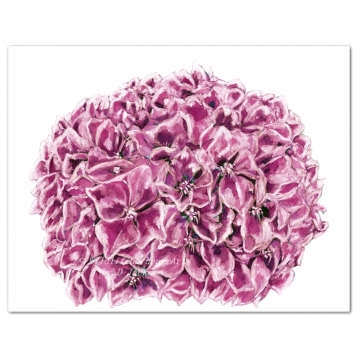 360x360 Contemporary Floral Watercolor Art Wildlife Gardener Art - Pink Watercolor Art