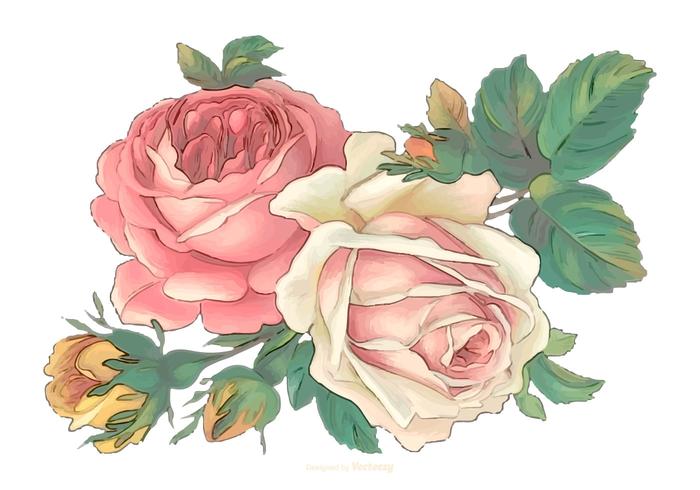 700x490 Vintage Watercolor Flowers - Pink Watercolor Flowers