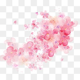 260x260 Watercolor Flowers Png, Vectors, Psd, And Clipart For Free - Pink Watercolor Flowers