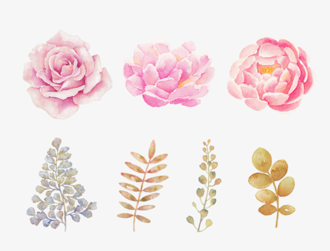 650x495 Hand Painted Pink Watercolor Flowers, Flowers, Decorative Pattern - Pink Watercolor Flowers