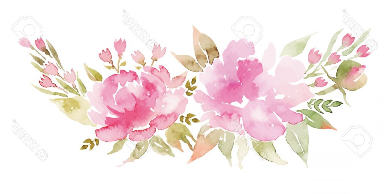 1560x778 Photostock Vector Watercolor Flowers Peonies Handmade Greeting - Pink Watercolor Flowers