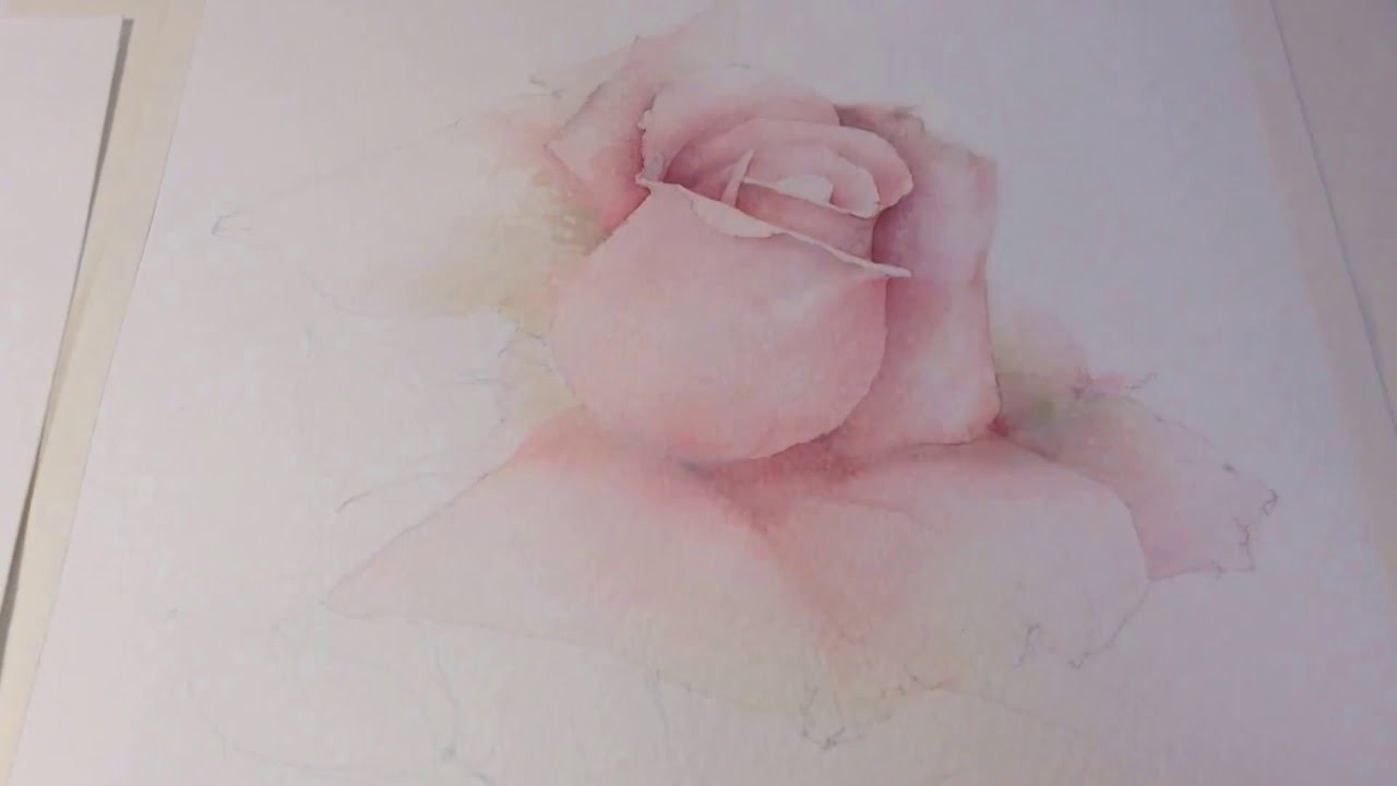 1280x720 The Pink Rose. Watercolor. Painting. - Pink Watercolor Paint