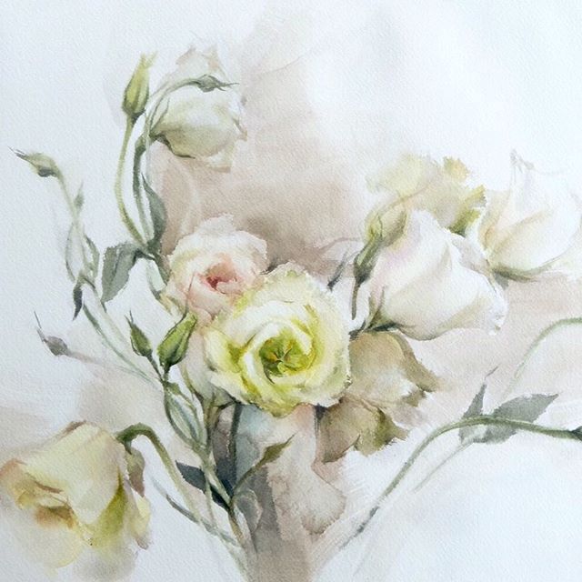 640x640 Watercolor Rose Phatcharaphan Watercolor Flowers - Pinterest Watercolor